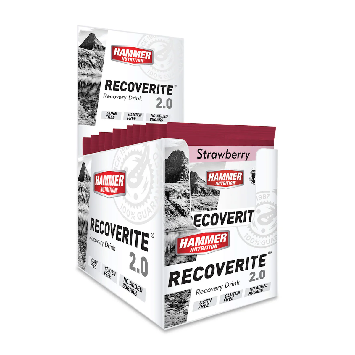 Hammer Recoverite 2.0 - Image 11