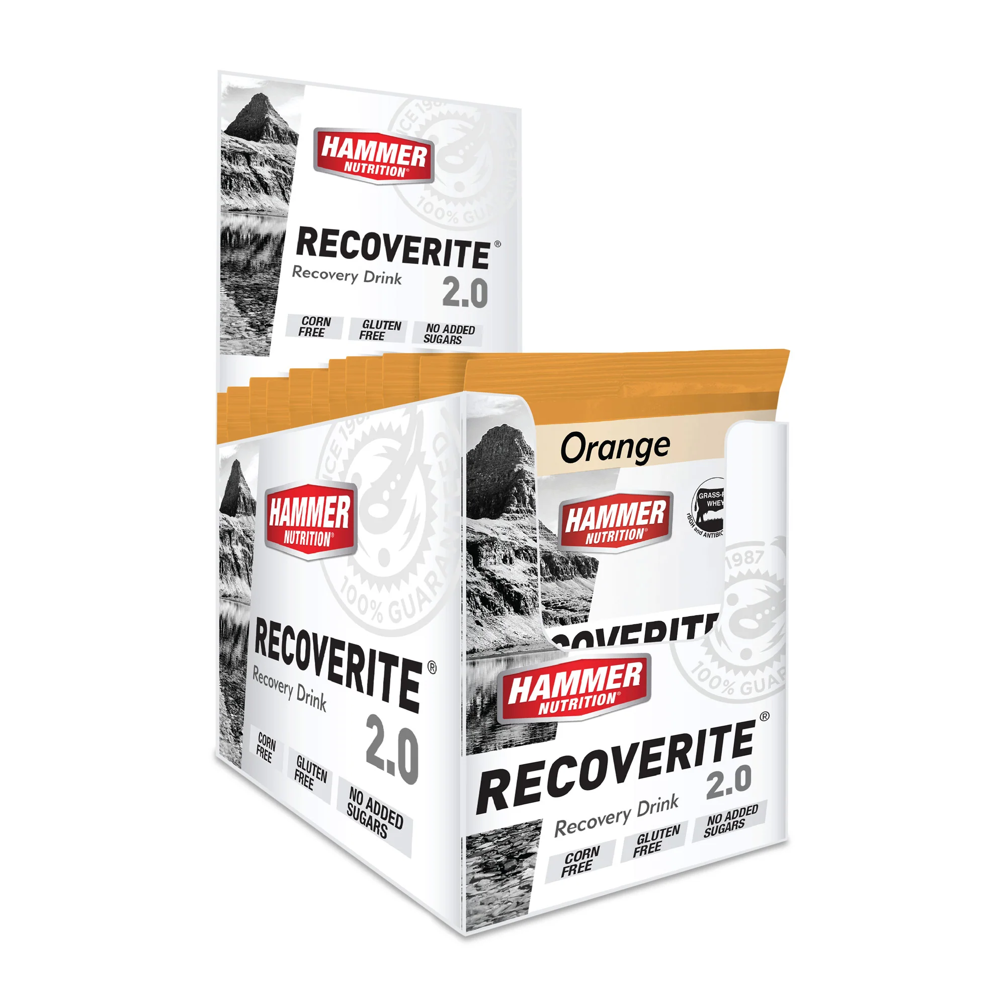 Hammer Recoverite 2.0 - Image 8